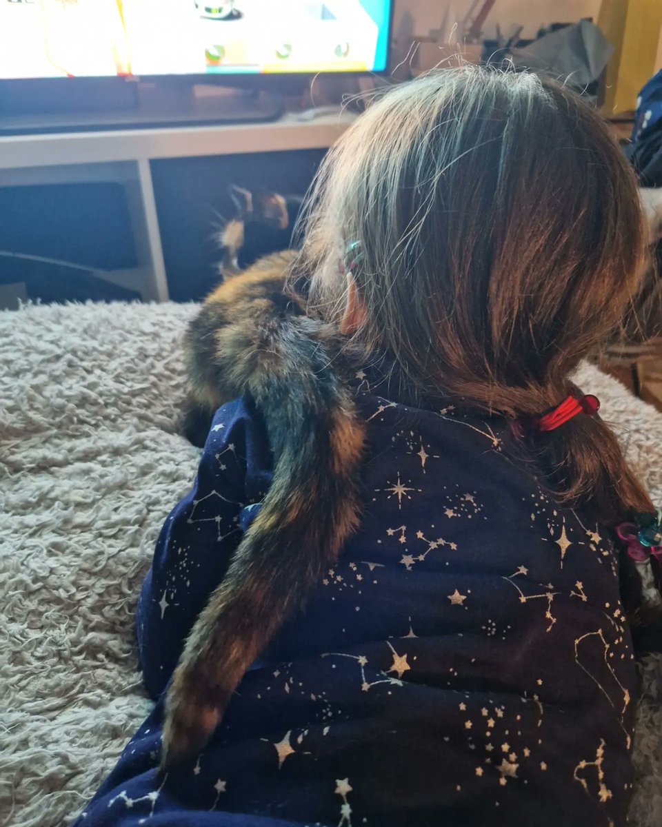 Debbie_Cleo's tweet photo. These two ❤️👧🏻🐱

It's taken a few years... but the cat can now (mostly) tolerate the child 😅 mostly at night time when it's time to chill and have a snuggle 🥰

#CatsOfTwitter #MothersDay #catcuddle #Sundaynight https://t.co/ZWOKHhnj9F
