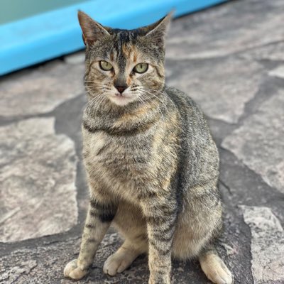 nicocorbbalan's tweet photo. Mi hija 🤍 #NewProfilePic https://t.co/wC1Hn4kD3X