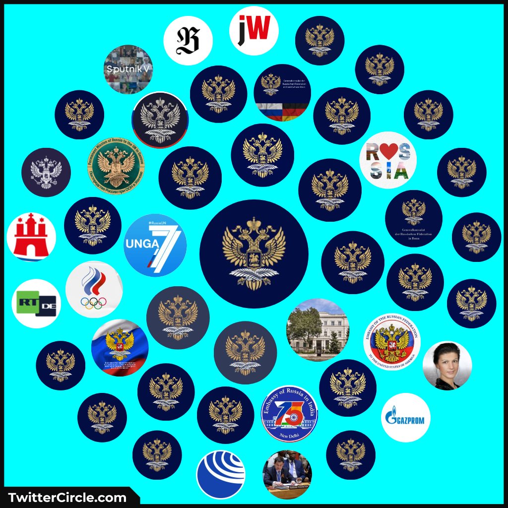 Das ist der Twitter-Circle der russischen Botschaft in Berlin. 
Fragen?