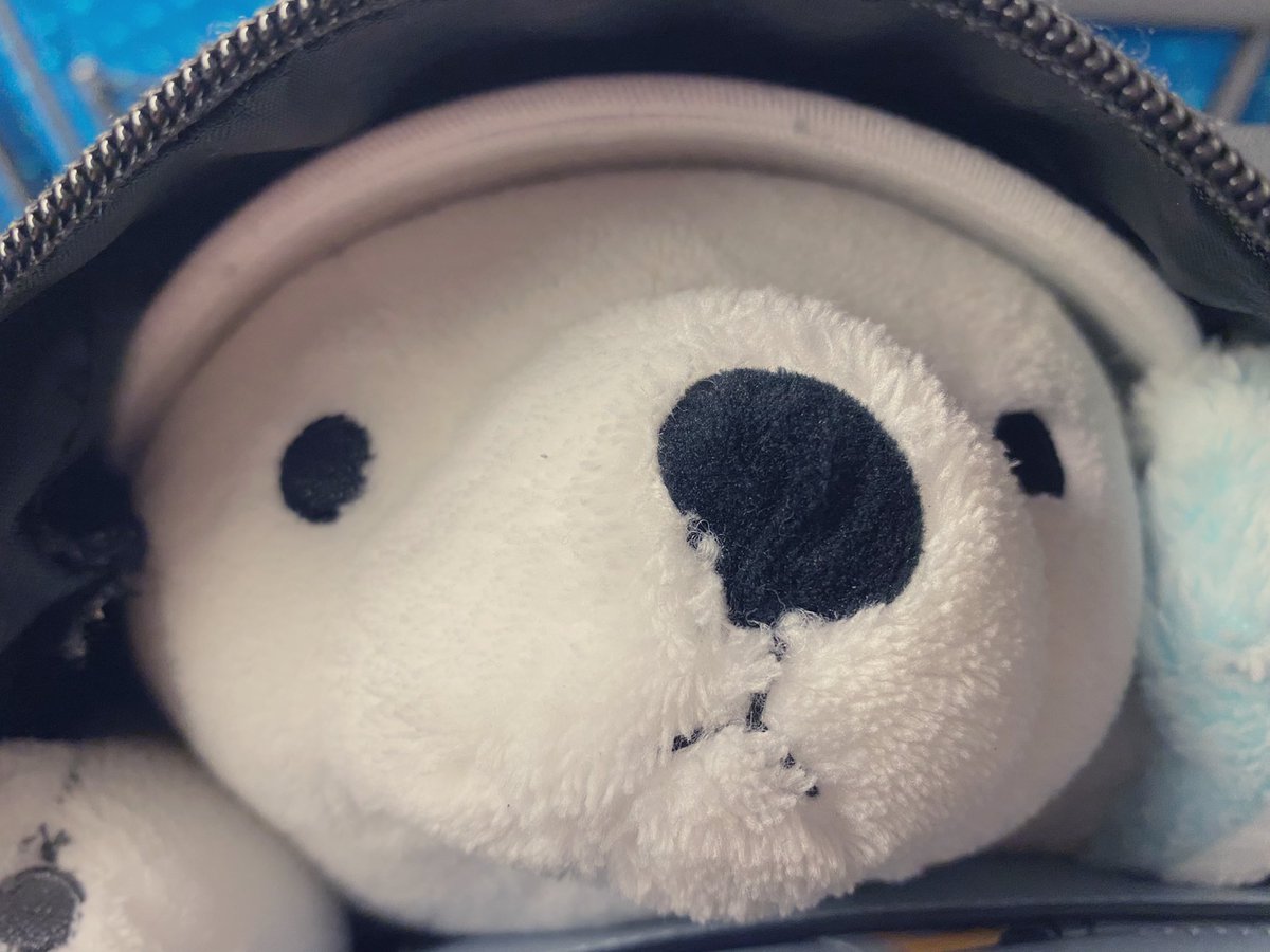 rayray_1101's tweet photo. 旅のおとも https://t.co/K9VJ0XeiCY