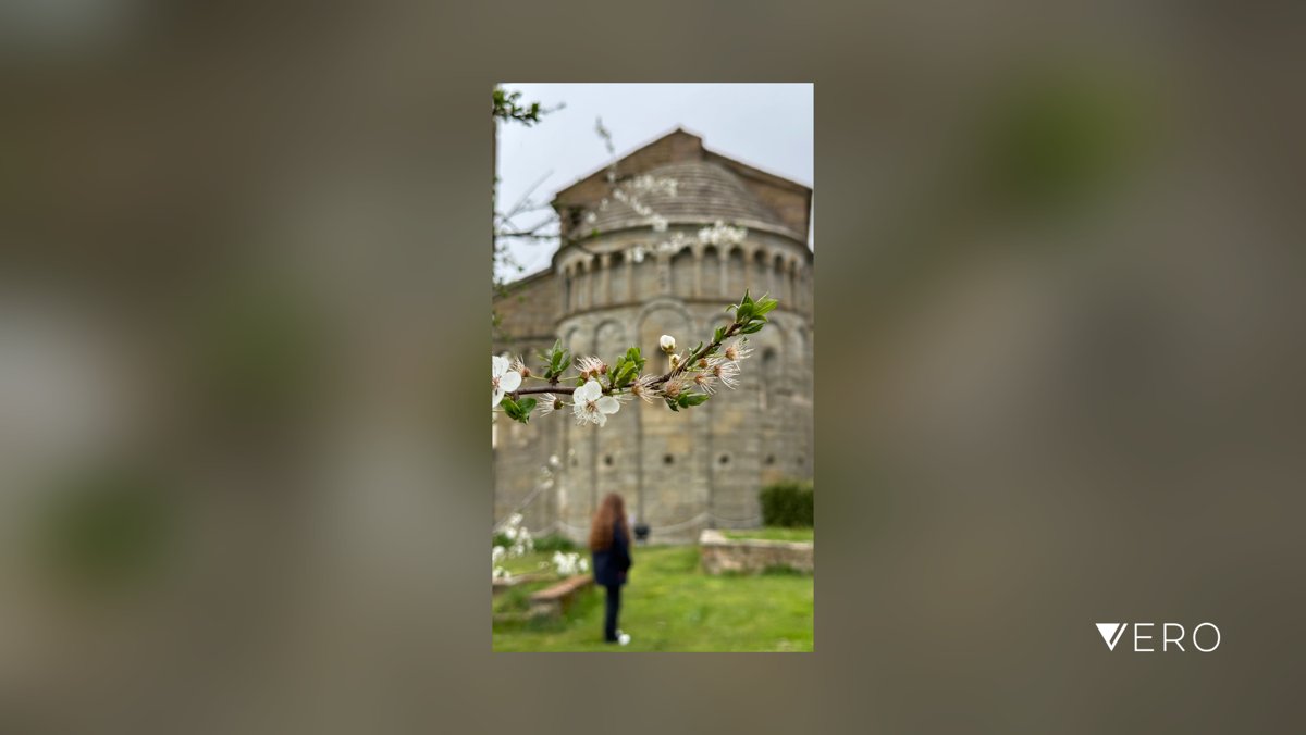andetti80's tweet photo. #Architecture #Building #Flower #Outdoors #Plant #Tree #romanicarchitecture #spring #white https://t.co/nKyFLz1lU5 https://t.co/DAyuAOE7MT