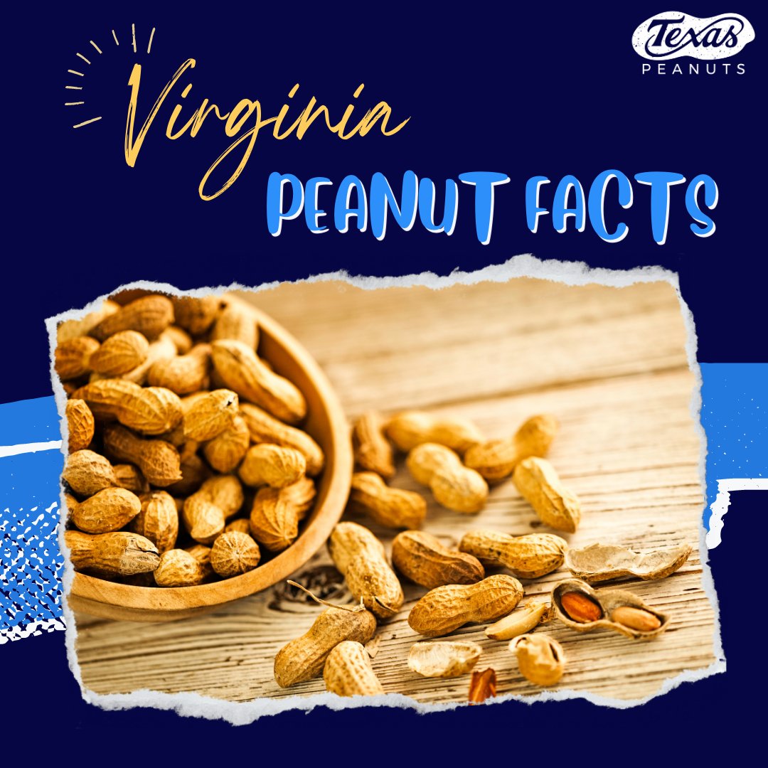 Virginia peanuts are one of the four legumes that are grown in Texas. Virginia peanuts are known as the “Ballpark peanut” because they are sold hot in baseball games. Another name that can be associated with this particular peanut is “cocktail nuts.” 
•
•
•
#TexasPeanuts