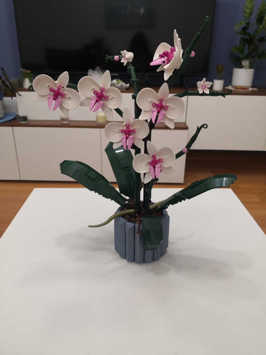 My friends are special!! ❤️❤️
<a href="/GNadizar/">Giorgia Nadizar</a> <a href="/EricMedvetTs/">Eric Medvet 🇪🇺</a> <a href="/LorenaCosatto/">Lorena Cosatto🇪🇺</a>