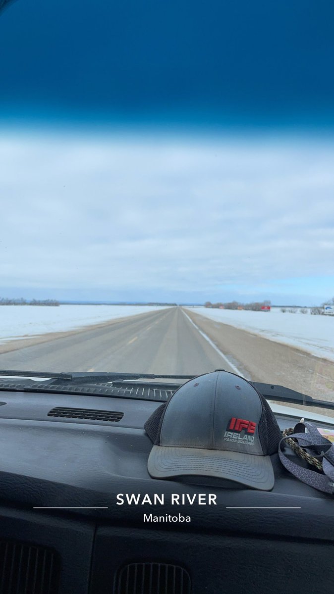 Taylor Snyder tweet media