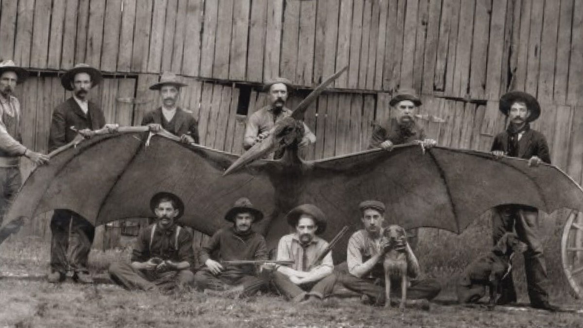 MonsterCrazyPod's tweet image. EPISODE 49: We are morally judged by the spiritual entity known as THUNDERBIRDS.

anchor.fm/monstercrazy