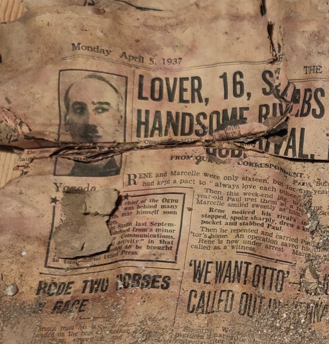 David Miller tweet media