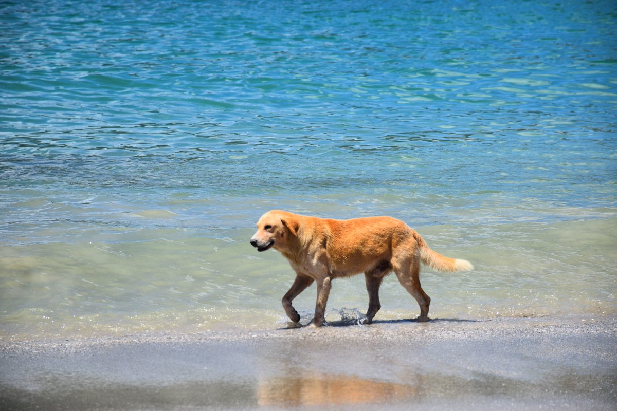 𝙼 𝚊 𝚛 𝚢 🏒 tweet media