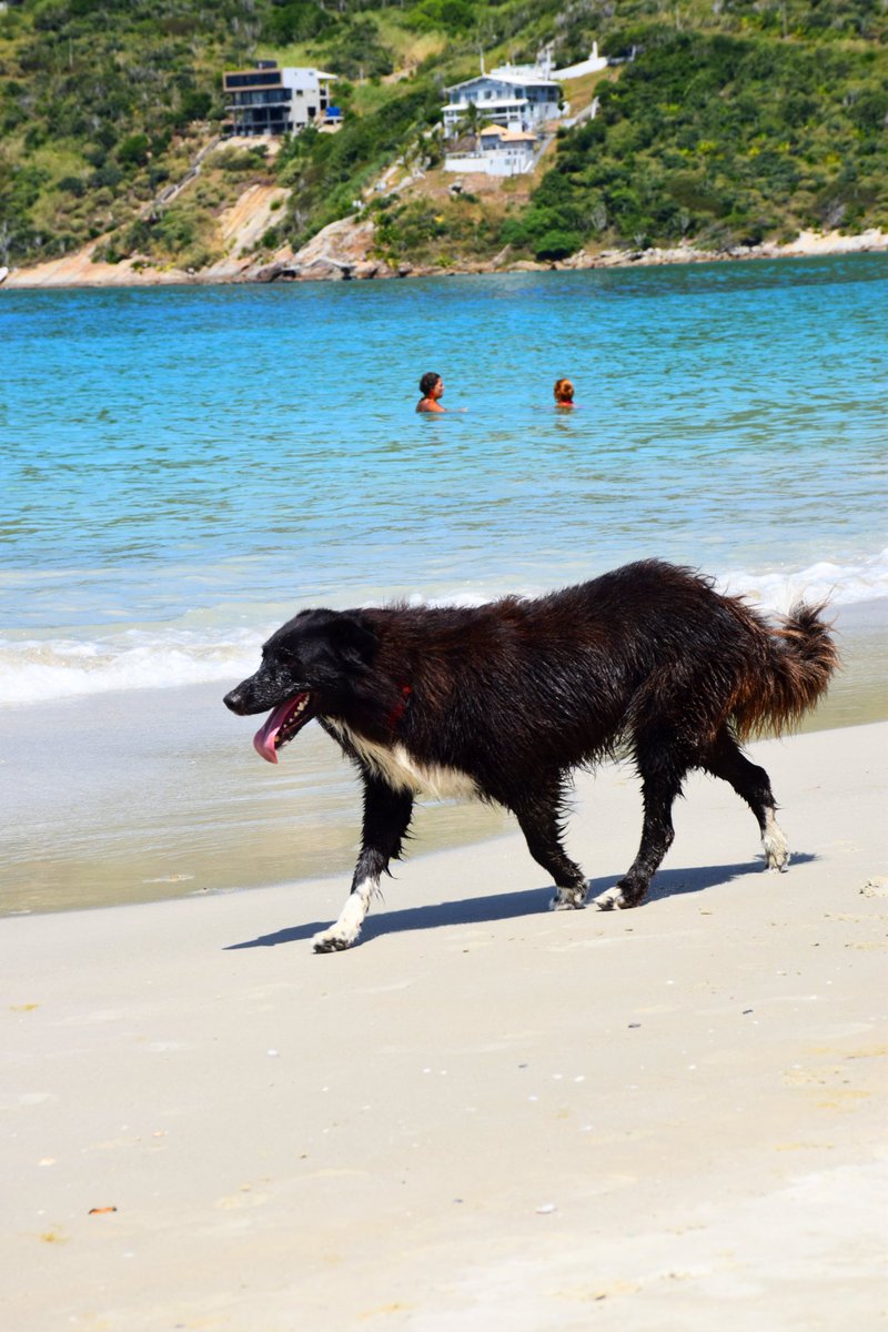 𝙼 𝚊 𝚛 𝚢 🏒 tweet media