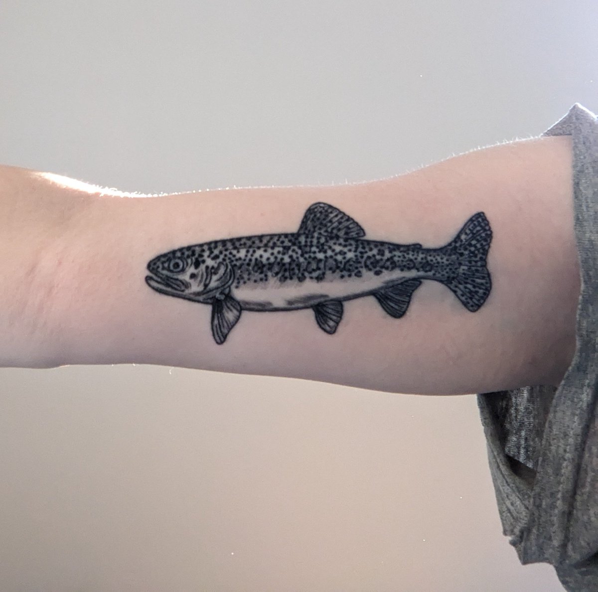 Hannah Cohen (@evocohen) on Twitter photo Got the fish tattoo 🥰 Thank you <a href="/jackiergalvez/">Jackie Galvez</a> for the suggestion, the California Golden Trout is the state fish of my home. Got the fish tattoo 🥰 Thank you <a href="/jackiergalvez/">Jackie Galvez</a> for the suggestion, the California Golden Trout is the state fish of my home.