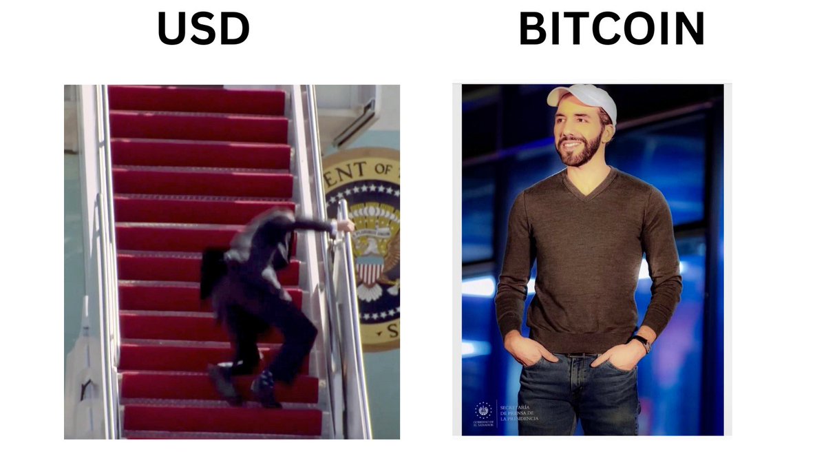 ain-rs-zel-s-on-twitter-rt-stacyherbert-usd-vs-bitcoin