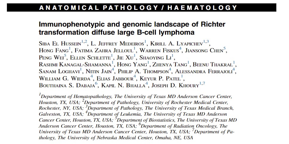 KirillLyapichev's tweet photo. An amazing work by raising hematopathology star @SibaElHussein and one and only, our mentor @JoeKhouryMD is out in @PathologyRCPA!

Do you want to learn more about IHC and genomic landscape of Richter?! – free link:
https://t.co/sb6aG8exq5

#hemepath @MDAndersonNews @sanamloghavi https://t.co/8tOZewxZc2