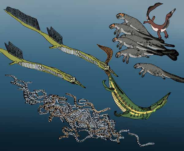TetZoo's tweet photo. Most of the #Squamozoic marine fauna has yet to be illustrated in colour. Hopefully one day. This image shows two podarciform species, a sea snake raft, a lubaglub group and a lone fentebenche. #SpecZoo https://t.co/qBZJ2lFp09