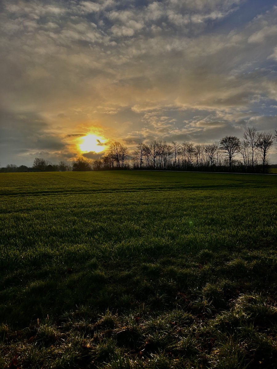 Horizonsun11's tweet photo. Gute Nacht zusammen #foryou #sonnenuntergang #sonne#nature# https://t.co/YBv1lc3Tdd