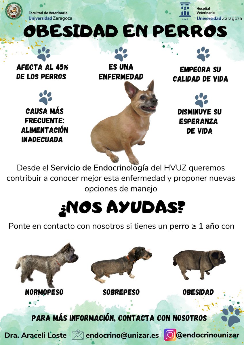 ¿Quieres participar en un proyecto de investigación? #obesidadenperros
