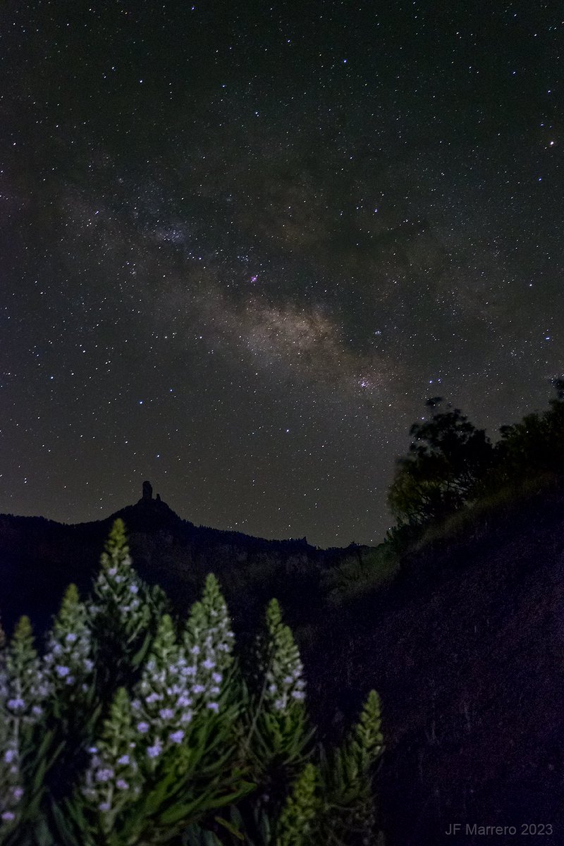 jfmaque's tweet photo. #Tajinastes bajo el #cielonocturno #Canarias #GranCanaria #tejeda #RoqueNublo #nightsky #milkyway #cielosESA https://t.co/YDFtntSwrJ