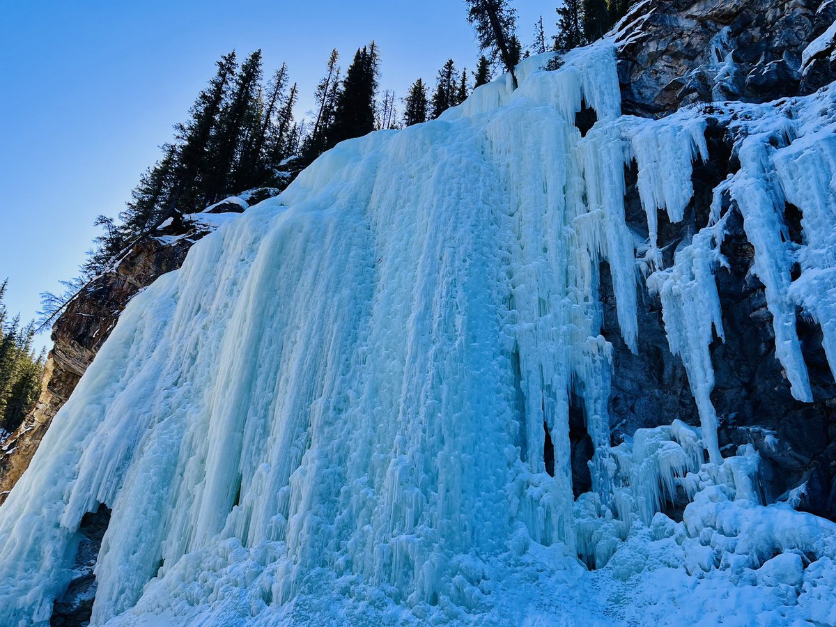 Qin Zhang 张秦 tweet media