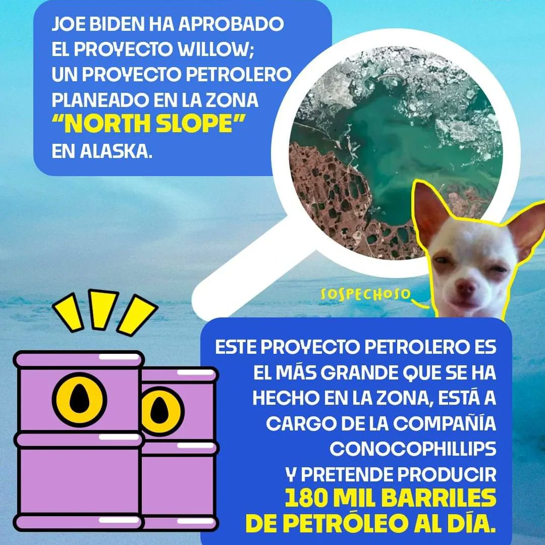 _Planeta_azul's tweet photo. ⚠️PROYECTO WILLOW ⚠️ https://t.co/MBMxcvua9L