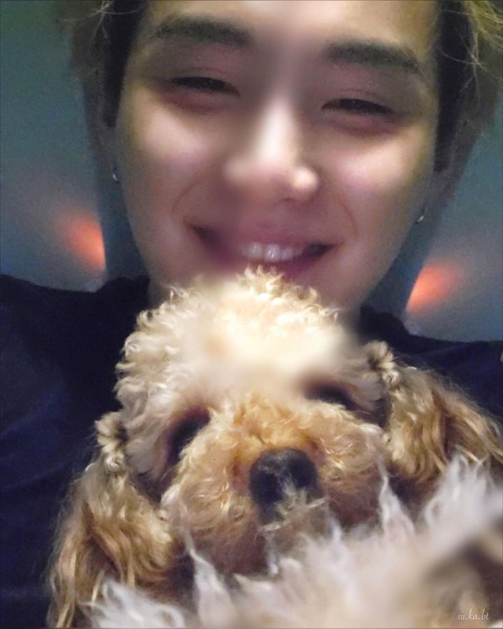 J_AVIERANA's tweet image. Memories 2022/3/9
Holly que se acurruca en tus brazos cuando se acuesta es tan lindo... #SUGA_BDAY