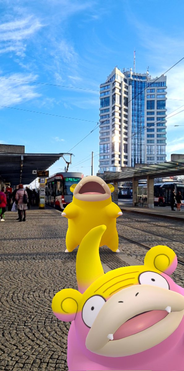 ReginaldOnRails's tweet image. Not so succesfull, no hundo, no 3* shiny, but lot of big lvl 90+ IV of these lazy guys. I absolutely love color of Shiny Galar Slowbro.
#PokemonGO #PokemonGOARplus #PoGO #PokemonGOCommunityDay #Slowpoke #Shiny #ShinyCheck #ShinyPokemon #Olomouc #CzechTrainer #TeamInstinct #Zabreh