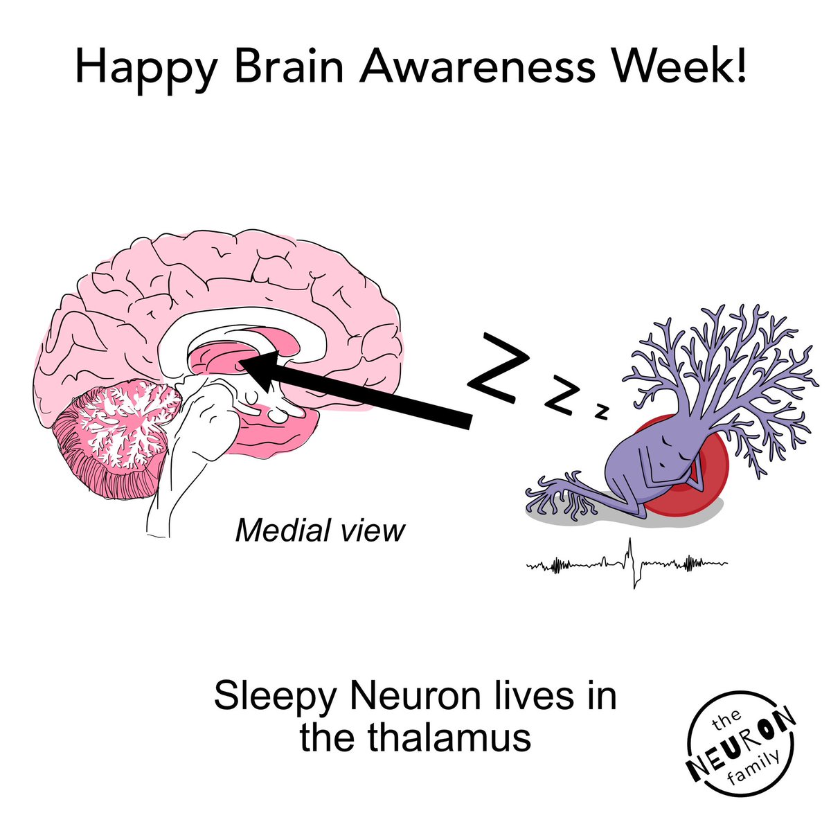 Hope you all had a nice Brain Awareness Week! (March 13-19 2023)

+ this year #WorldSleepDay, which was on March 17, fell quite nicely into #BrainAwarenessWeek ! 🧠💤 

#NeuroTwitter