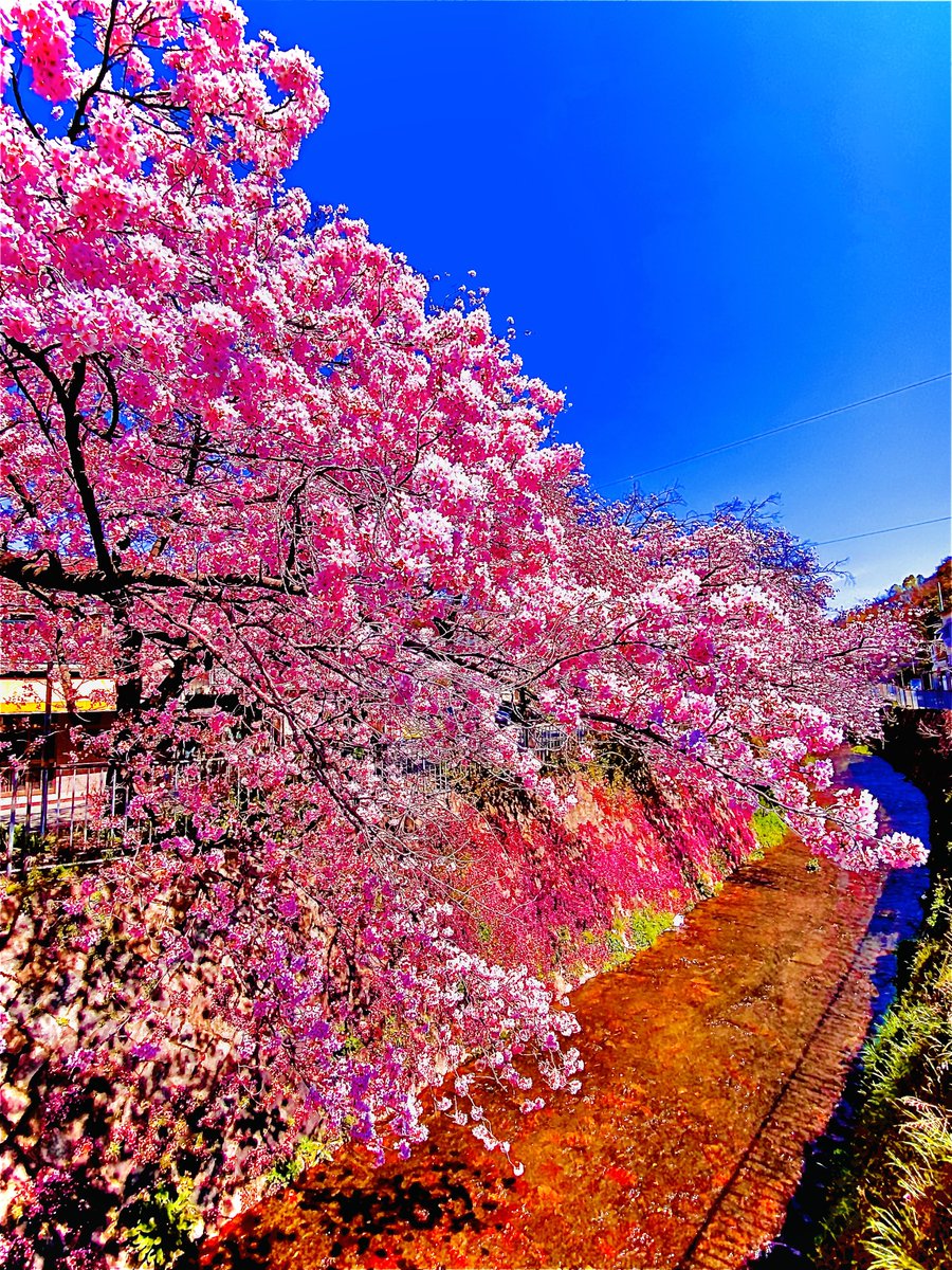 おはようございます。😆🌈✨
素敵な朝のはじまりです🍀🍀
🍀🍀🌸🌸🌺🌺🌼🌼💐💐✨
3月20日は「日やけ止めの日」
東京都に本社を置き、化粧品メーカーとして肌を日やけから守る「アネッサ」などの商品を手がける株式会社資生堂が平成26年に制定しました。🌼
✨✨🍀🍀🌸🌸
素敵な1日をお過ごし下さいね