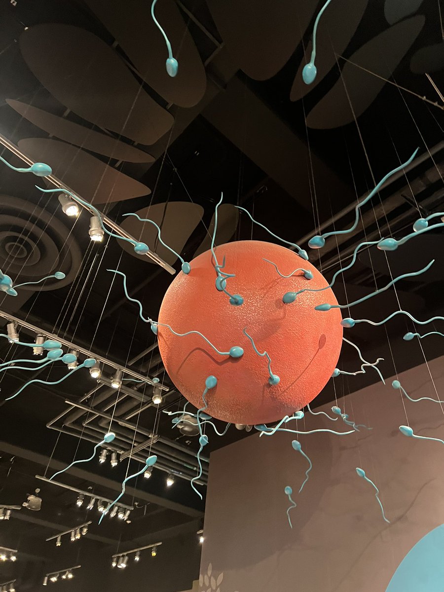 El_Ahuizotl's tweet photo. My 18,000 steps around LA today (so far). #nerdcation #SpringBreak #CaliforniaScienCenter https://t.co/sjF0fQc9SM