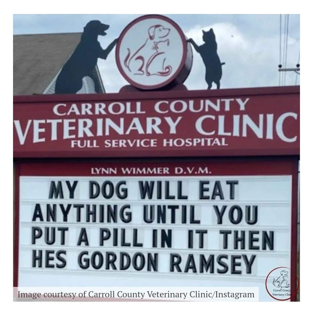 JayKantrowitz's tweet photo. @GordonRamsay thought you would enjoy a laugh 😃 https://t.co/q2QESiPOwA