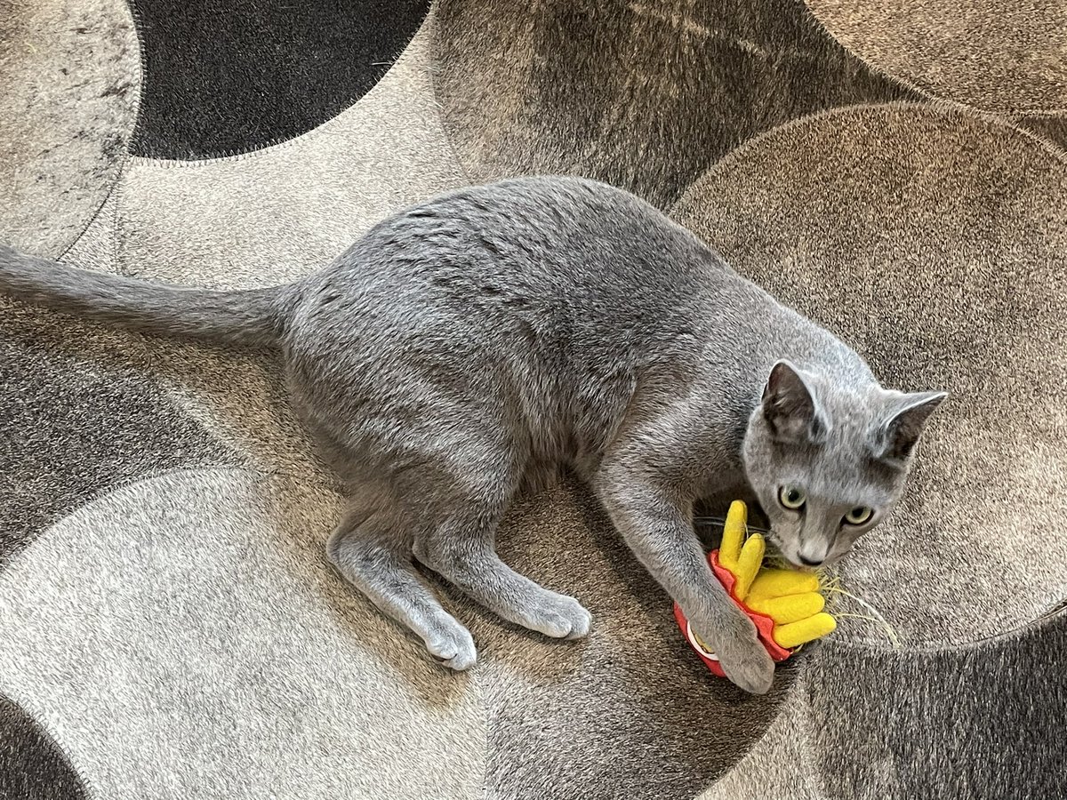 Sebastián Patiño tweet media