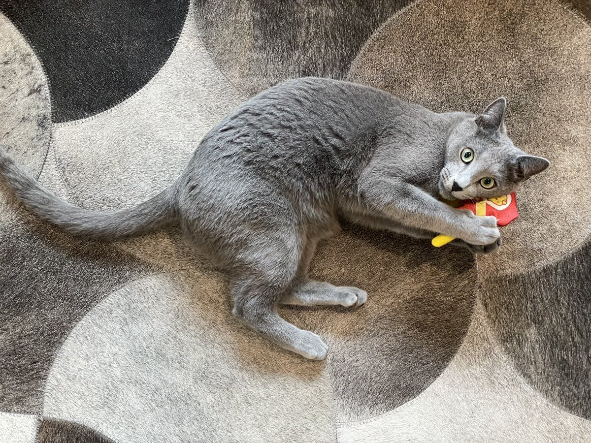 Sebastián Patiño tweet media