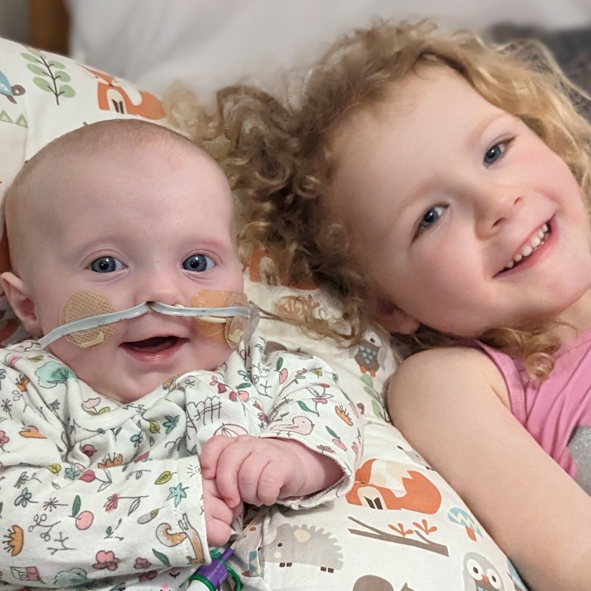 thecurlz's tweet photo. I took a lot of longer than most to become a mum of 2. Look how gorgeous my girls are. #prs has been a challenge we were not prepared for but  Emilia is the happiest and most child baby ever 💗  Izzy has the kindest heart and is absolutely bossing being a big sister. https://t.co/OdgE0PPkbl