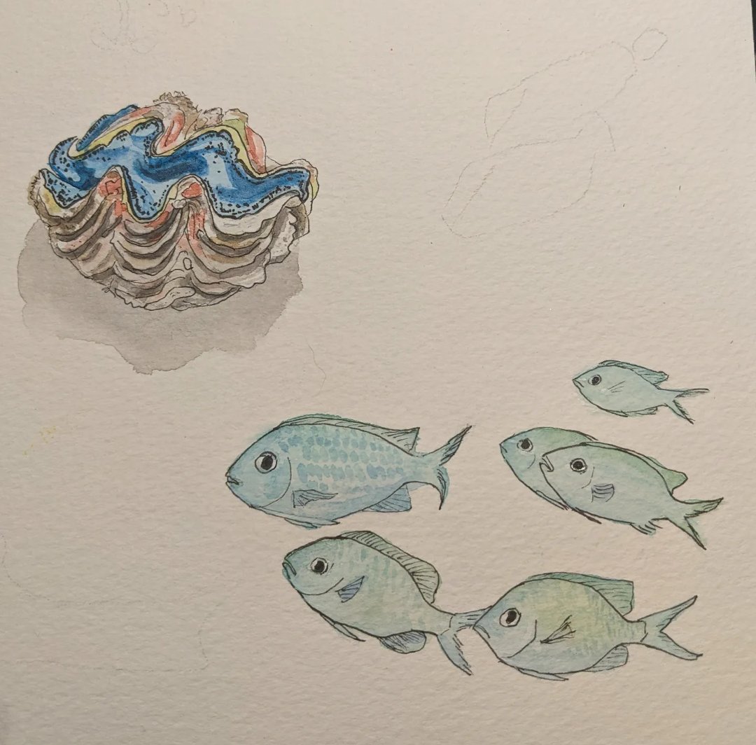 #SundayFishSketch blue green chromis #fishytheme plus a bonus giant clam