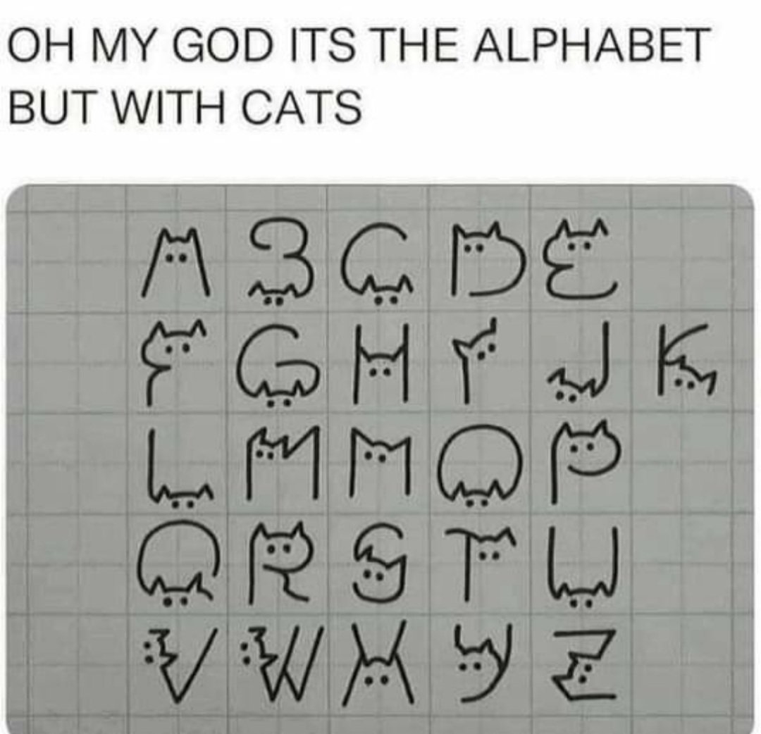 MichelleAvonBuz's tweet photo. A B C's #ABSSWithCats https://t.co/Jwx449MYdn