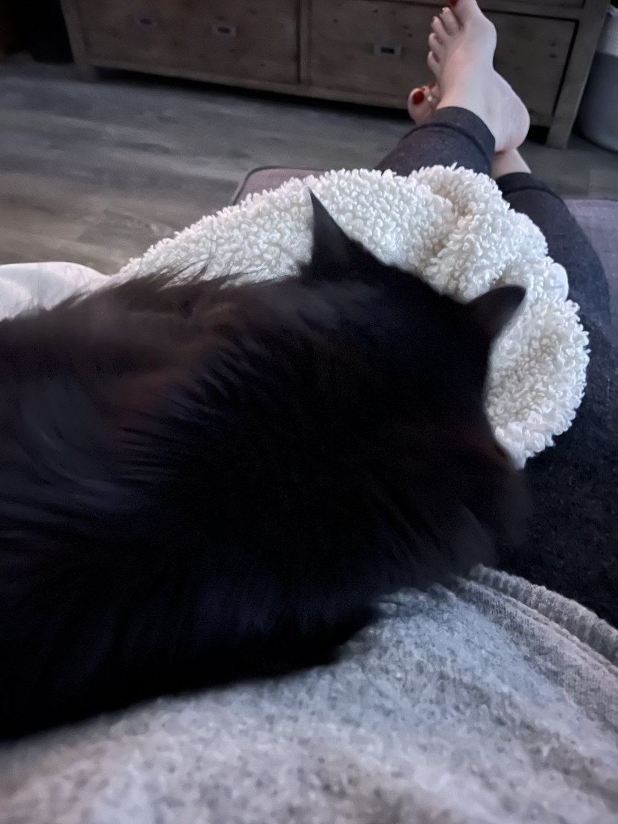 Jennifer tweet media