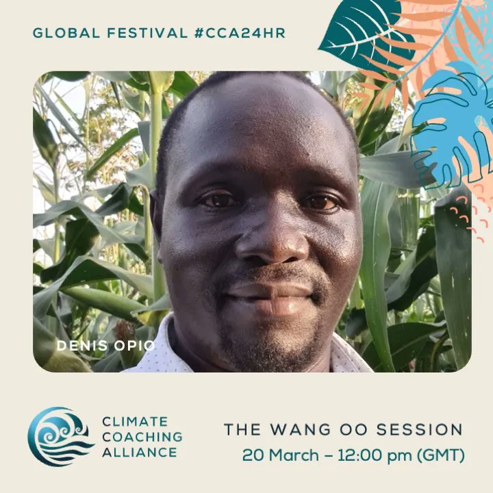 Climate Coaching Alliance tweet media