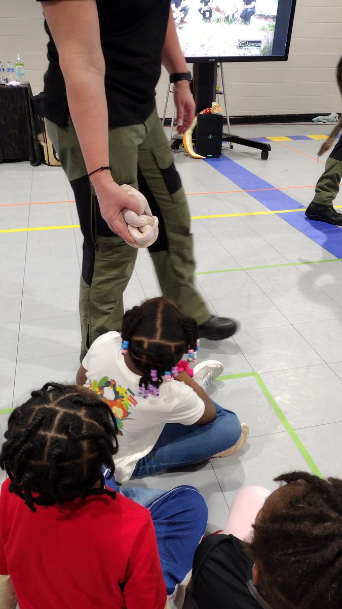 MsBrawnersClass's tweet photo. In-school fieldtrip with Scaly Adventures! The Bravos (unlike myself when it comes to reptiles) were fearless! 🤗 https://t.co/BdBLZIrpPp
