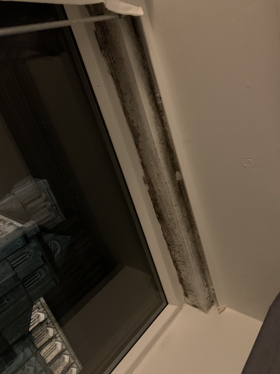 matthurst10's tweet photo. Amazing! Back in the Mercure Winchester for work, and it seems they have pulled their Twitter account to stop customers sharing their awful experiences. This room absolutely stinks. Mould anyone? https://t.co/QOyDBmaKzf