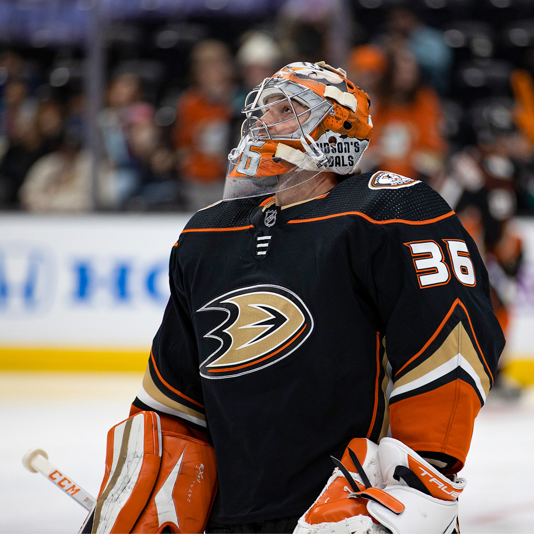 Anaheim Ducks on X: The puck is down at @HondaCenter