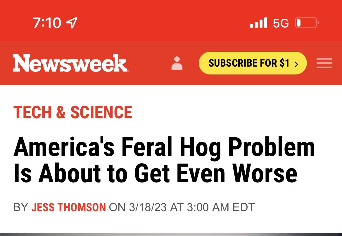 Charlie Loften tweet media