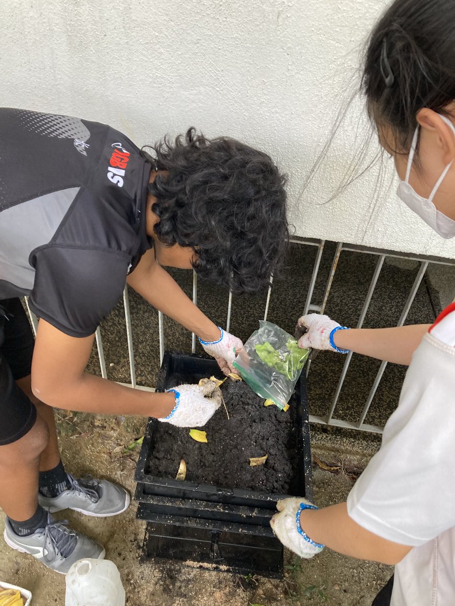 harves4556's tweet photo. Getting started on the worm farm @IGBintschool #Sustainability #myp #pyp #esDesign #igbis https://t.co/g2XXbUUVMe
