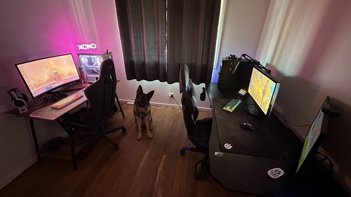 corbz__'s tweet photo. POV: moving in with duo partner 😍 https://t.co/SmxV8vLqzz
