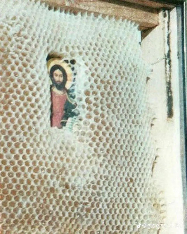 ParkerNathans's tweet photo. Bees won’t build a hive over Holy images. https://t.co/fnLLxAqxC0