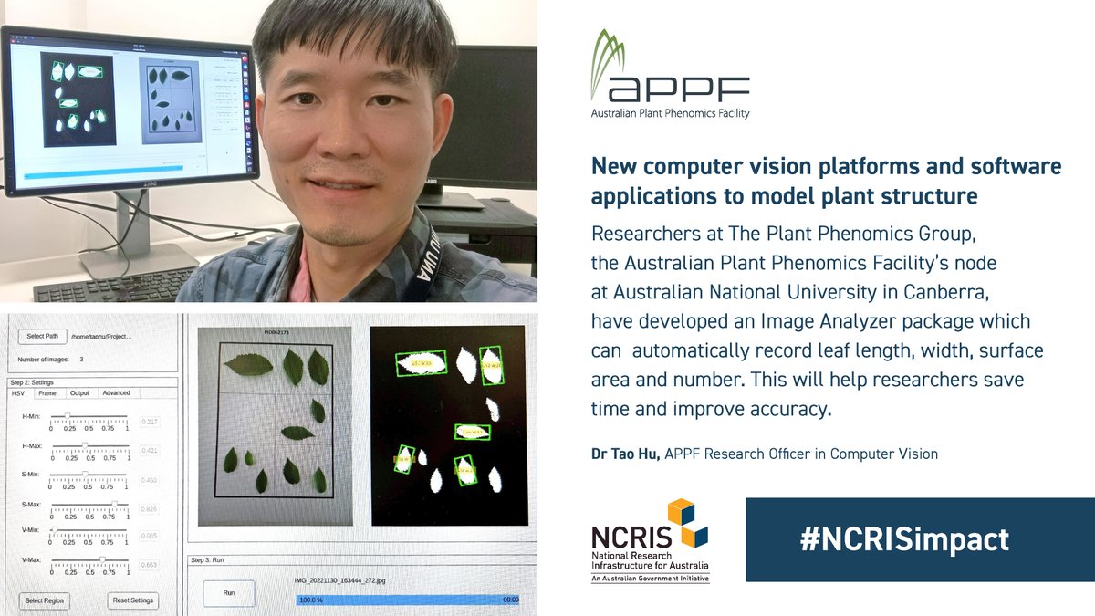 We're proud to showcase our #NCRISimpact. Today we're profiling our new computer vision platforms &amp; software applications. This phenotyping knowledge helps us model &amp; understand plant structure &amp; height, plus leaf number &amp; diameter wp.me/p9rQoW-5Bi  @CEAT_Hub <a href="/PlantSci_ANU/">ANU Division of Plant Sciences</a>