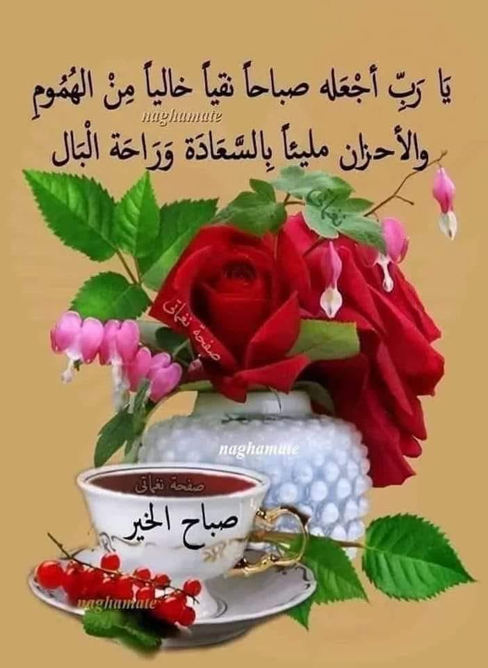🌹صباح الورد🌹

اسأل الله ان يهبكم في صباح هذا اليوم بهجته
ومن السعد قمته.. ومن الإيمان أعلى درجته
اللهم نسألك عمرا" لاانكسار فيه
ونسألك رزقا" لاحرام فيه
ونسألك عملا"لا رياء فيه
اللهم لا تغير حالنا إلا لأحسنه
وأعنا على شكر نعمتك
وارزقنا وانت خير الرازقين

♦️♠️صباح الخير♠️♦️