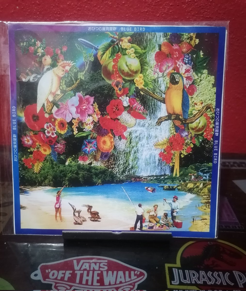 7 pulgadas mágicas desde Sendai Japón. 🇯🇵

<a href="/ohitsuji_za/">おひつじ座流星群</a>
#おひつじ座流星群
#bluebird
#spartacus