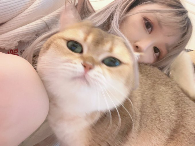 コスプレイヤー浅野菌子のTwitter画像48