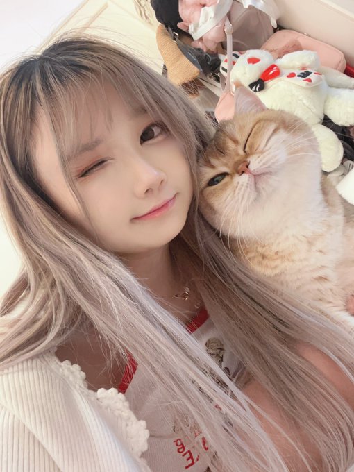 コスプレイヤー浅野菌子のTwitter画像47