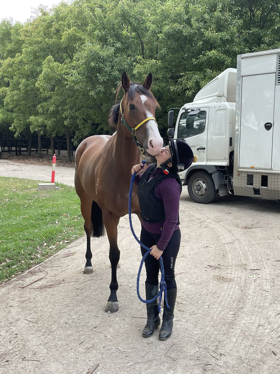 Jords_chalmers's tweet photo. Finally got my boy.. Welcome home Streetsy 🥰🥰 https://t.co/J2dVzHcdvH