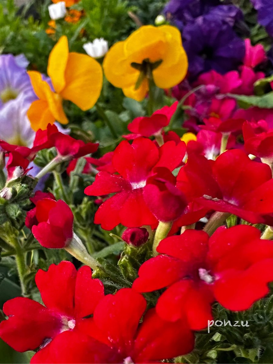 ヾ(●゜ⅴ゜)ﾉ  こんにちは

今日もいいお天気🔆

今週も
       よろしくお願いします
ﾟ･*:. ✽  穏やかな午後を .  .  。

         午前中… お疲れさまです