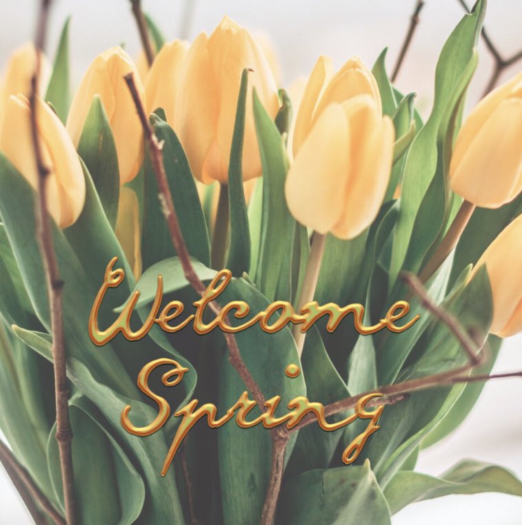 🐰🐣🌷🐰🐣🌷#spring  #WelcomeSpring