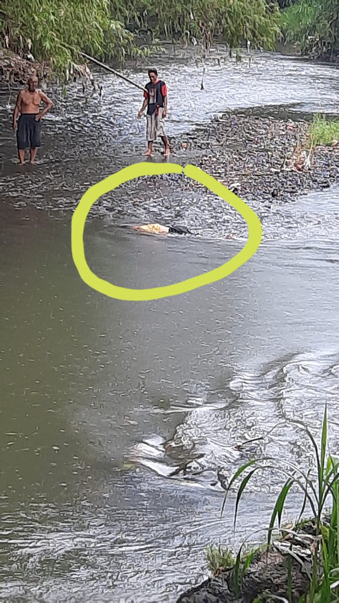 Info penemuan mayat di kali Bedok,Dusun Kentolan kidul, Guwosari.